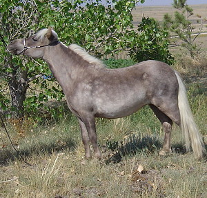 Kiara7-08 web.JPG